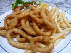 حلقات الحبار